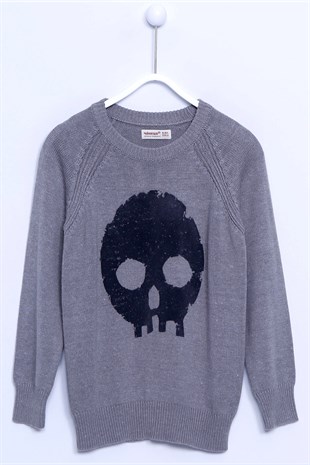 Gray Color Sweater Crew Neck Printed Long Sleeve Knitwear Sweater Boy |T 310199